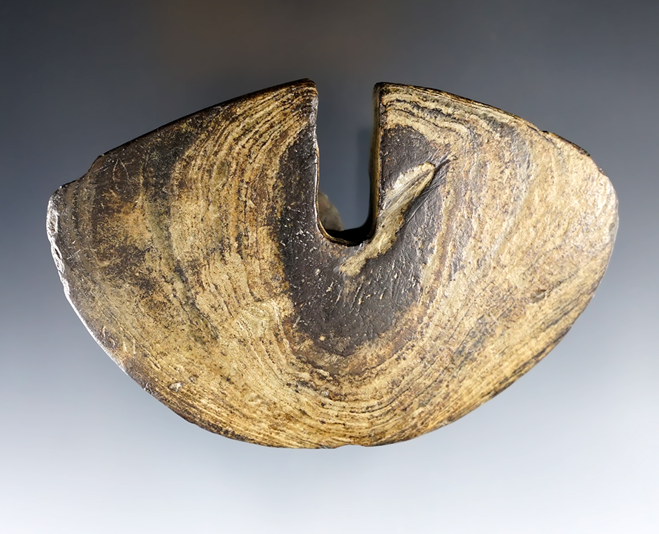 Fantastic 3 3/4" wide Single Notch Wing Bannerstone - Lucas Co., Ohio. Pictured. Ex. Root.