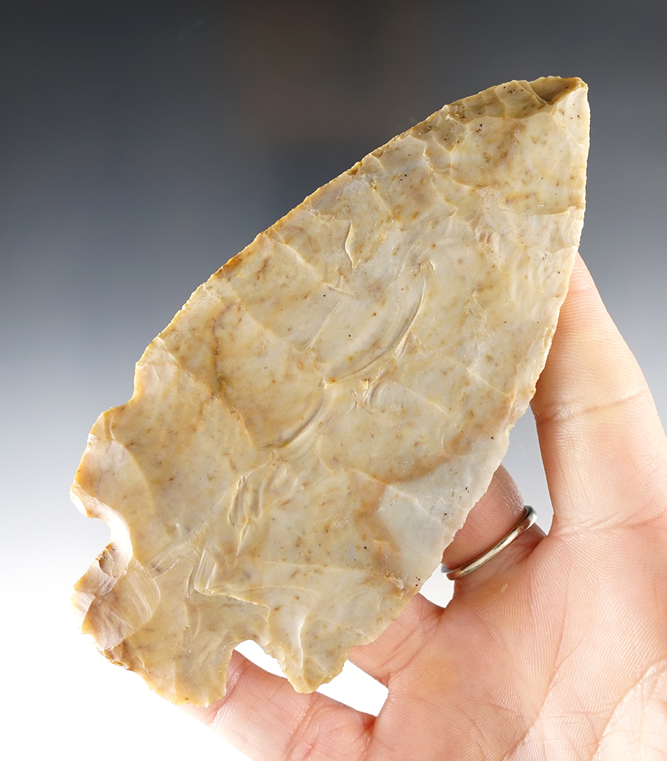 Large and thin 5" Hopewell - Wilkins Farm, Allen Co., Ohio. Found by Dale Wilkins. Flint Ridge.