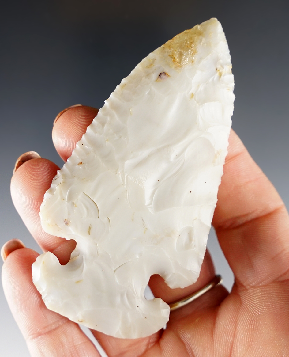 3 5/16" Thebes Ohio E-Notch. Small spot of restoration towards the tip. Ex. Terry Reed.