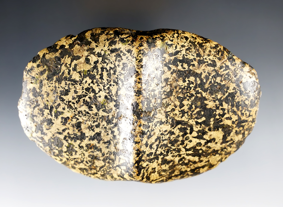 Fine 4 3/16" wide Hardstone Wing Bannerstone - Sandusky Co., Ohio. Pictured.