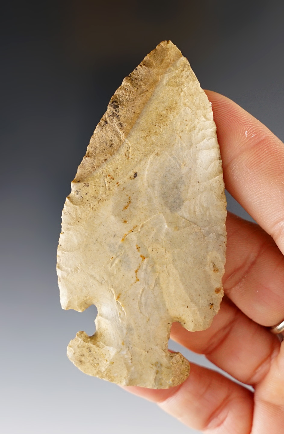 3 3/16" Classic Thebes E-Notch found in Coshocton Co., Ohio. Ex. Dean Driskill collection.