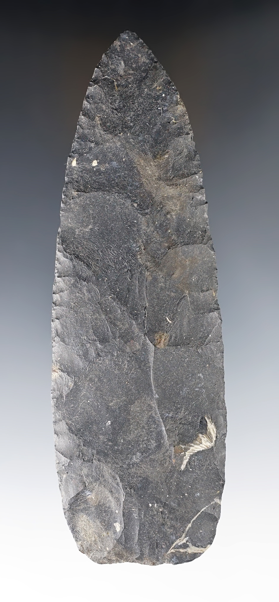 6 1/8" Plano blade made from Nellie variety Coshocton Flint. Heavy ancient grinding.