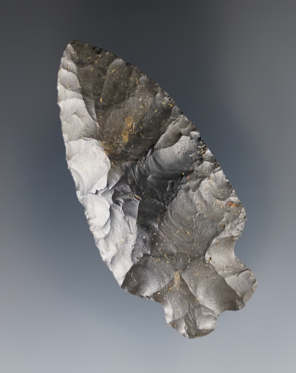 Nice 2 1/2" Heavy Duty found in Crawford Co., Ohio. Ex. Bill Tiell.