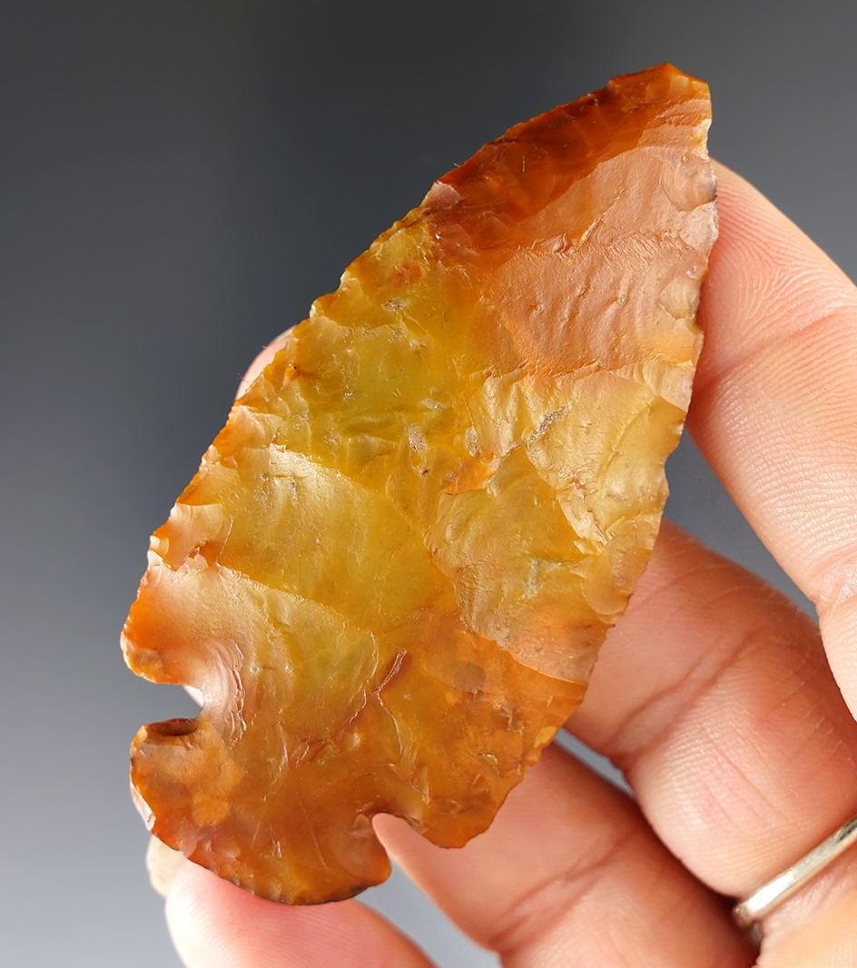 Highly colorful 2 3/4" Ohio Dovetail. Ex. Jim Beckman. 