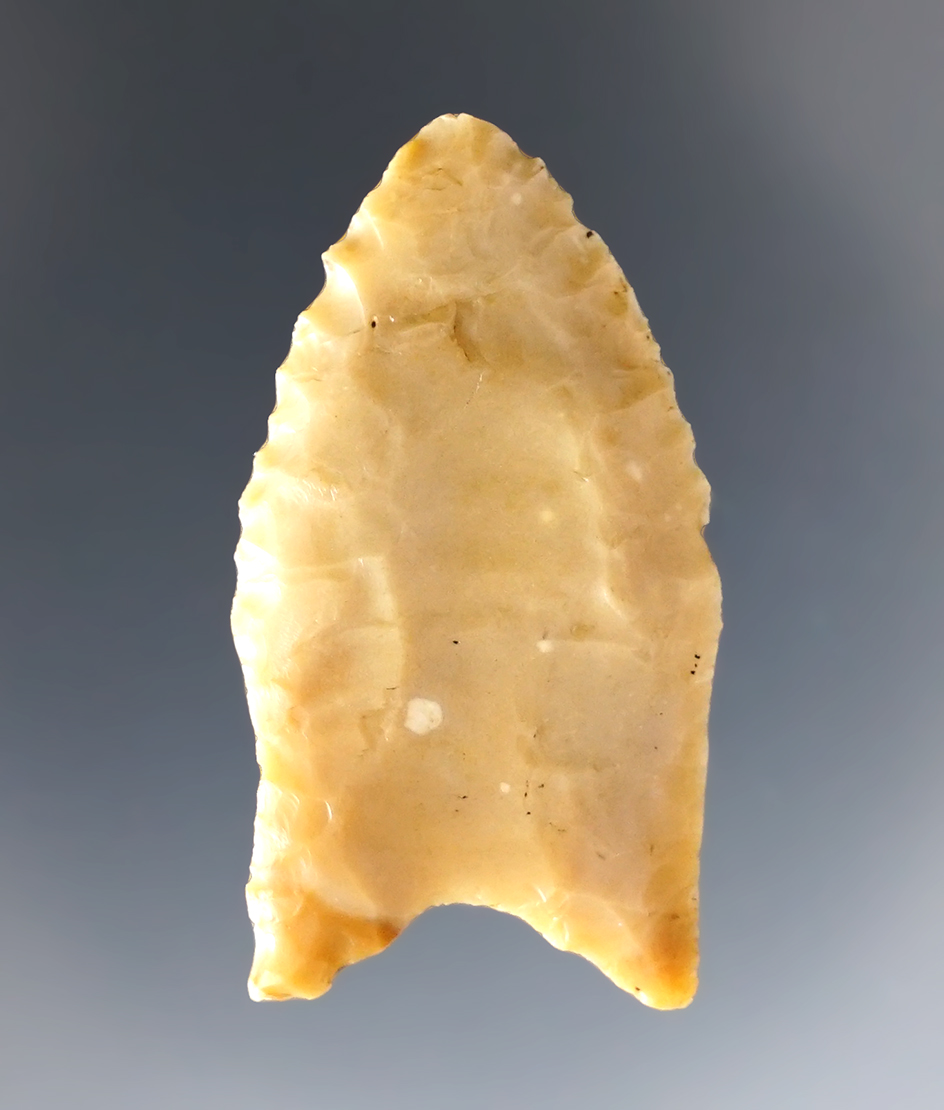 1 5/8" Paleo Fluted Clovis made from high grade Carter Cave Flint. Found in Ohio.