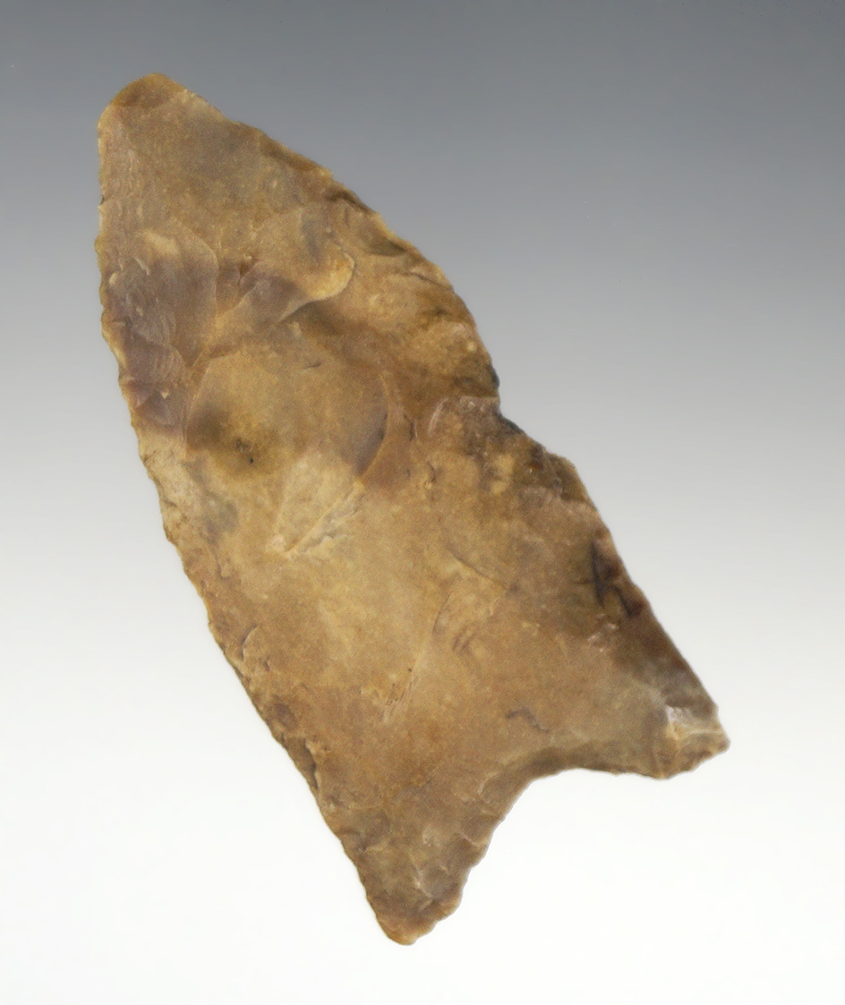 Heavily patinated 2 9/16" early Dalton found in Kentucky.