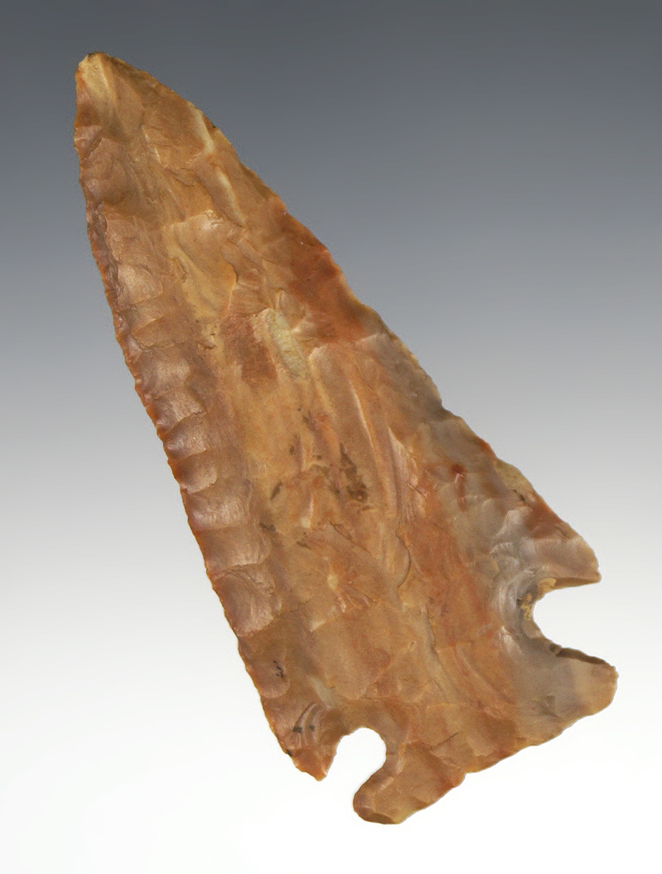 3 3/8" Kirk - beautifully colored Carter Cave Flint - Mason Co., Kentucky - Jackson COA.