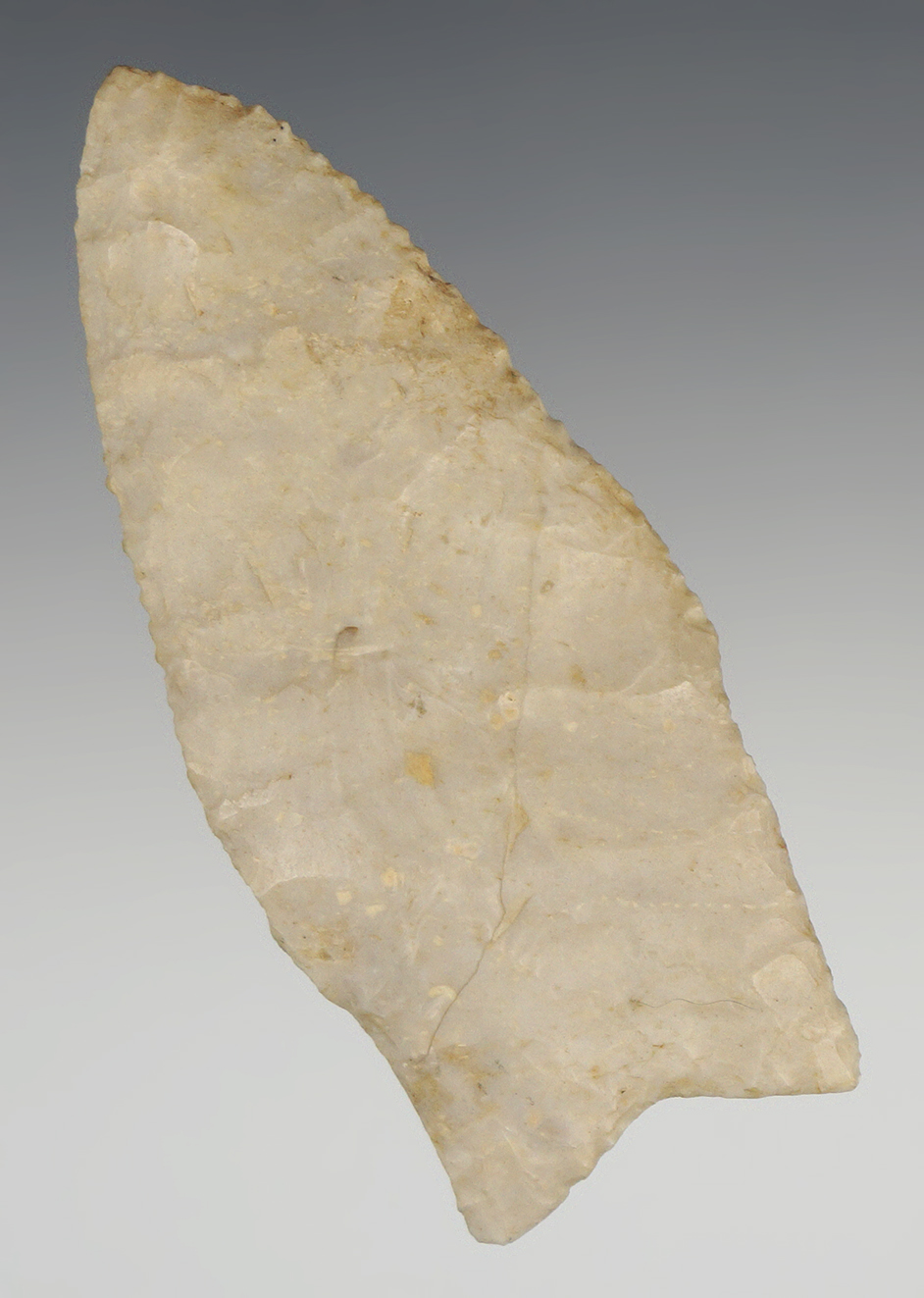 3" Serrated Dalton variant found in Todd Co., Kentucky.