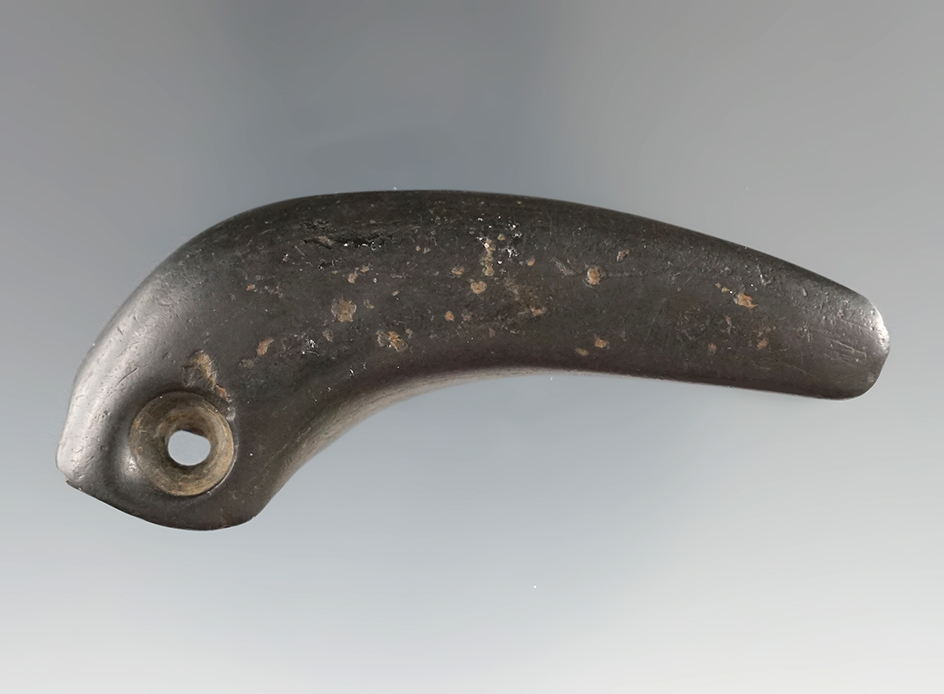 2 3/4" anciently damaged geniculate salvaged into a pendant -  Miami Co., Ohio. Ex. Meuser