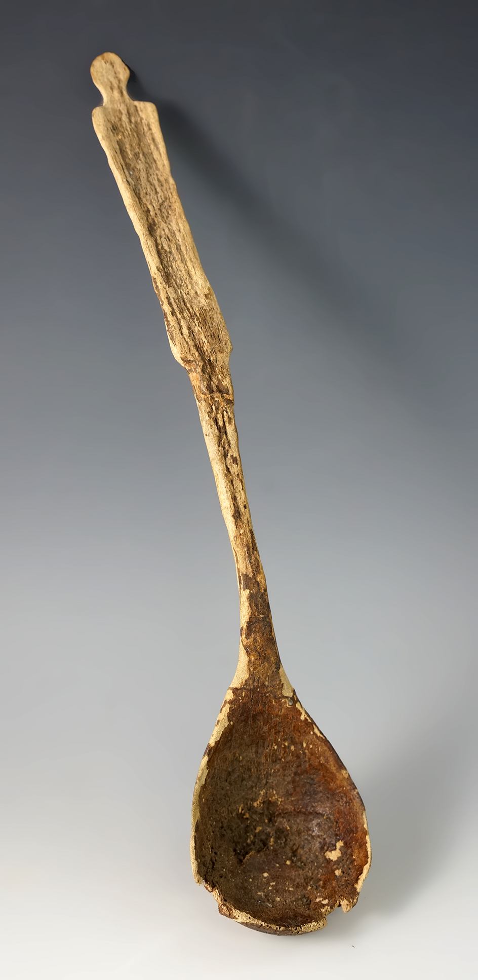 Rare! Large and well styled 11 1/8" spoon fashioned from animal bone found in Cortland NY.