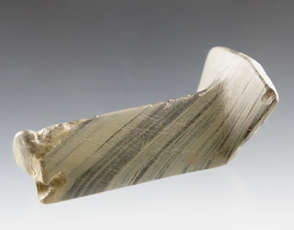 2 3/4" long fantail Birdstone that was anciently broken and salvaged found in New York.
