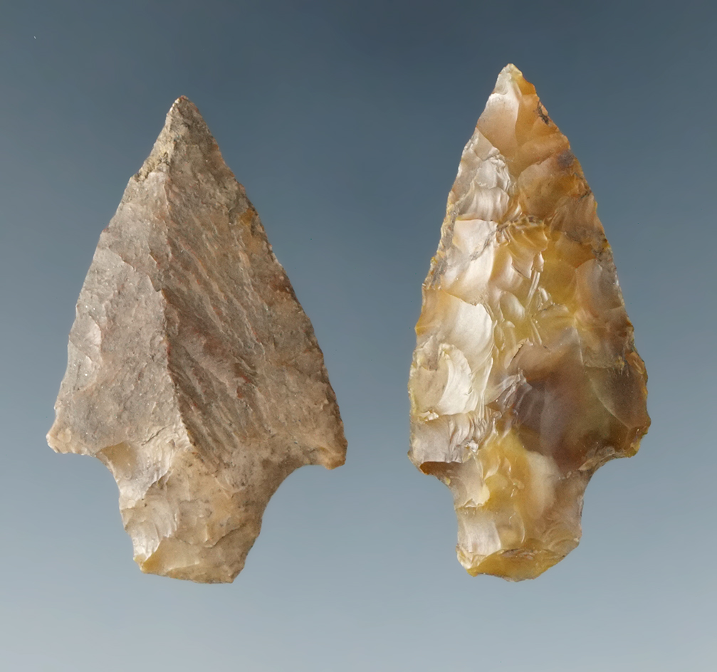 Pair of 1 1/4" points including a Merrybell and a Rabbit Island found at the Ohbe site in Washington