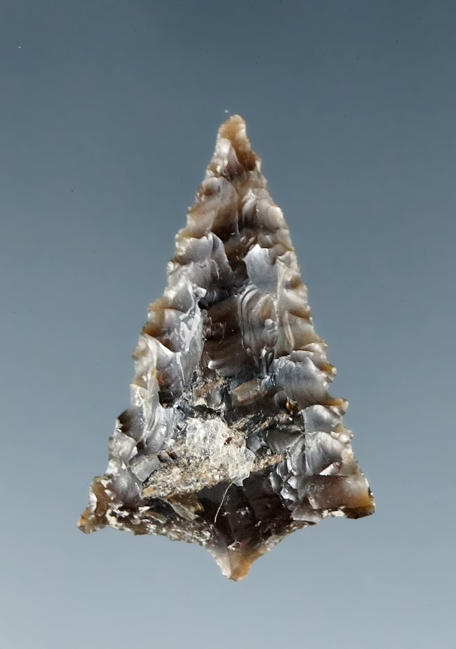 1" attractive little banded Agatized Wood Rabbit Island found in the vicinity of Yeager Island.