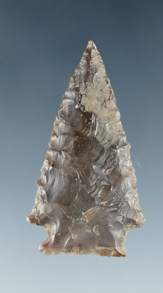 1 1/2" Merrybell type III - Agatized Wood found in the vicinity of the Dalles in Klickitat Co., WA.