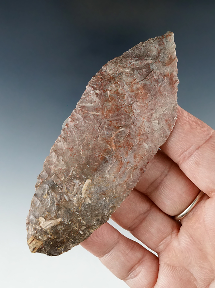 3 3/4" Pentagonal Knife - petrified bog material found at the Maybe site, Klickitat County WA.