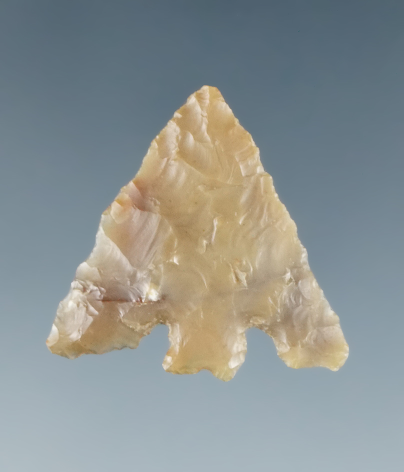 7/8" Eastgate Split Stem found near Roosevelt, Klickitat County Washington. Ex. Charles Mitchell