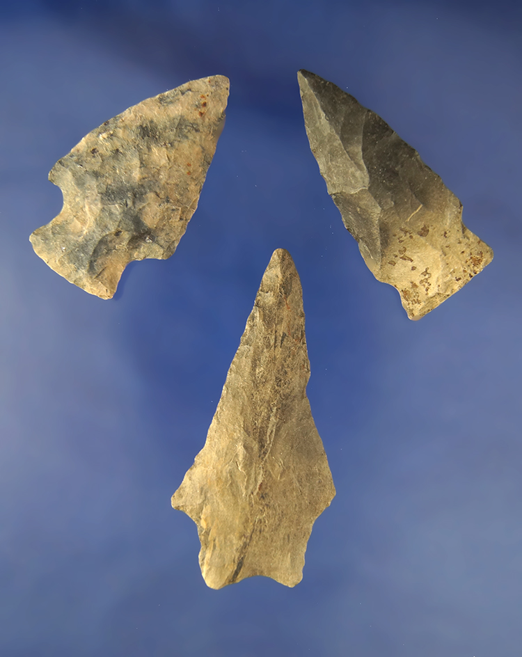 Group of 3 assorted   Arrowheads from the eastern U.S. Largest is 2 9/16".