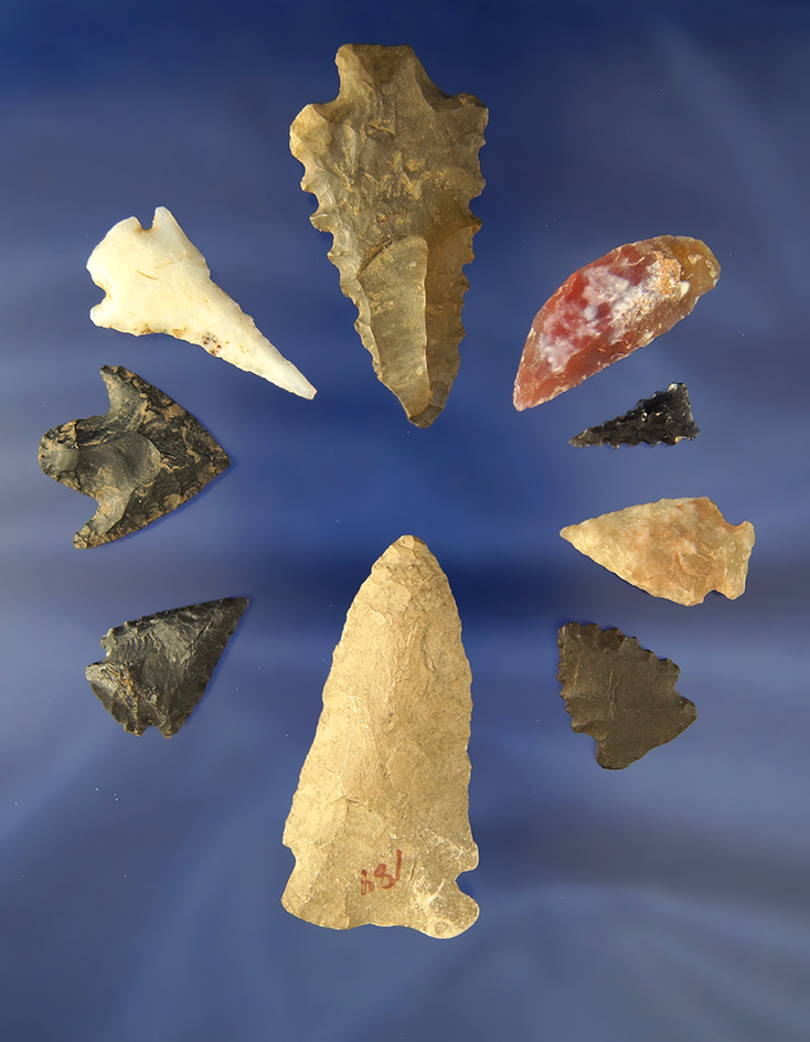 Set of 9 assorted   Arrowheads from around the U.S.  Largest is 2 5/16".