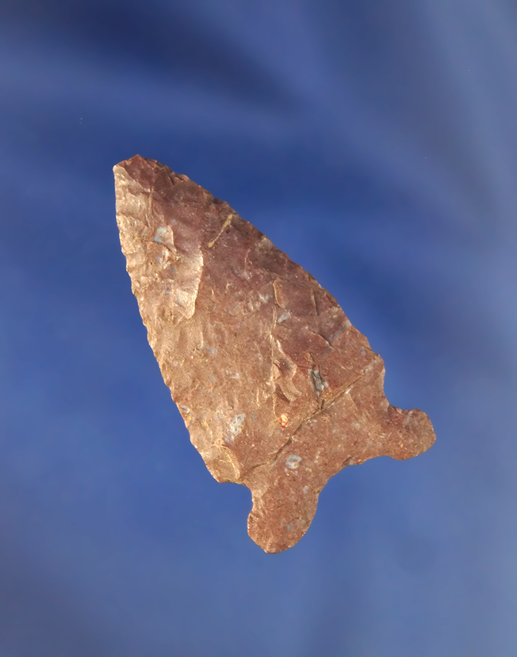 1 3/4" Oxbow found in the High Plains region.