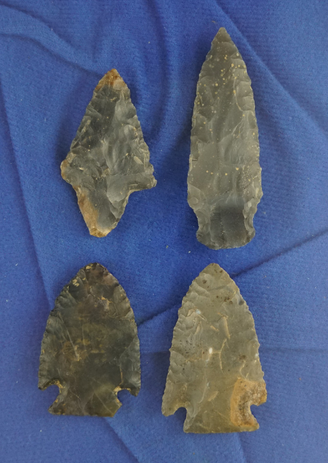 Set of four nice Kentucky arrowheads, largest is 2 7/16".