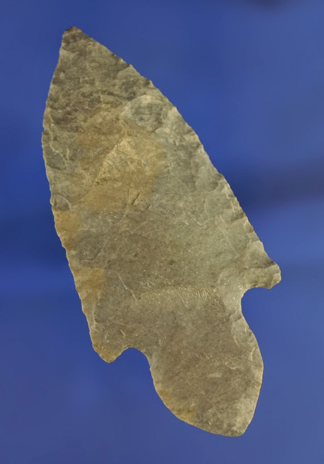 3" Turkeytail Adena found in Kentucky.