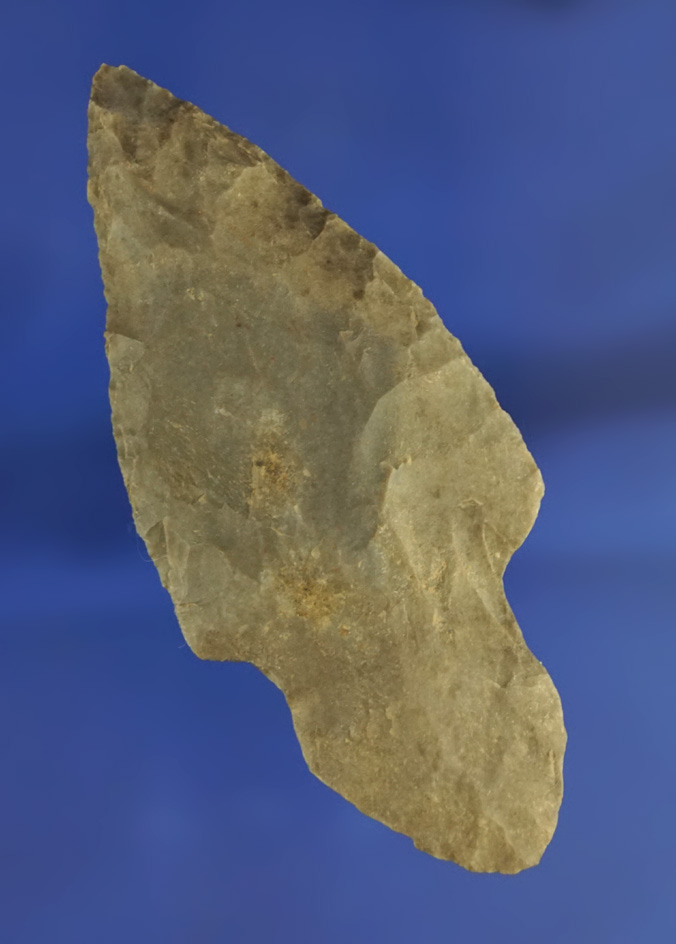 2 15/16" Turkeytail Adena found in Kentucky.