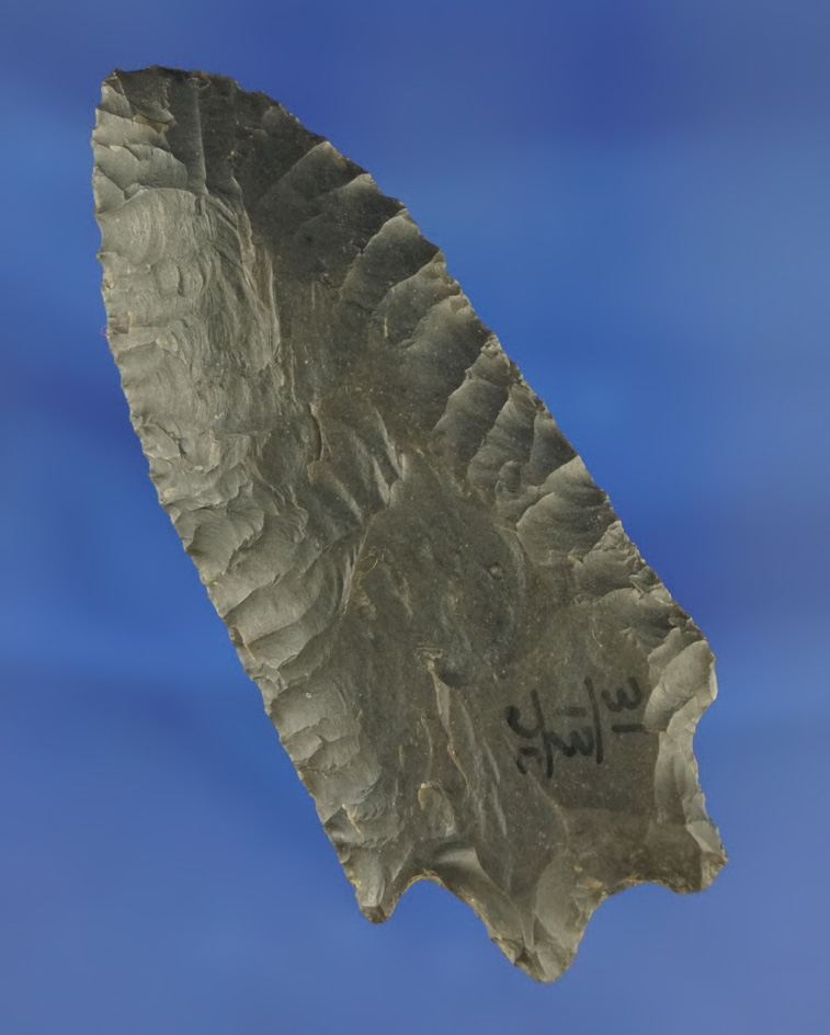 2 15/16" Buzzard Roost Creek found in Kentucky.