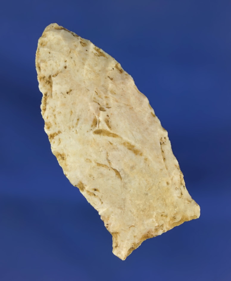 1 3/4" Paleo Beaver Lake found in Kentucky.