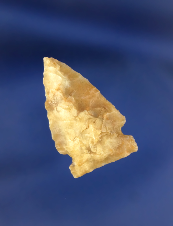 1 3/16" Lookingbill Found in the northern plains in the 1950s.