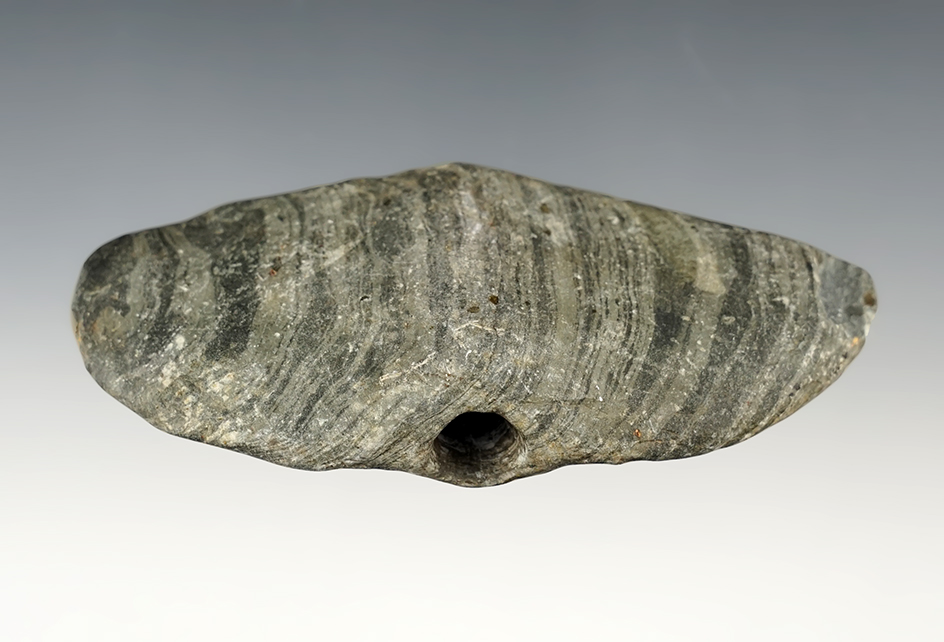 4" Wide Wing Bannerstone. Drilling is started but not complete. Found in Coshocton Co., Ohio. 