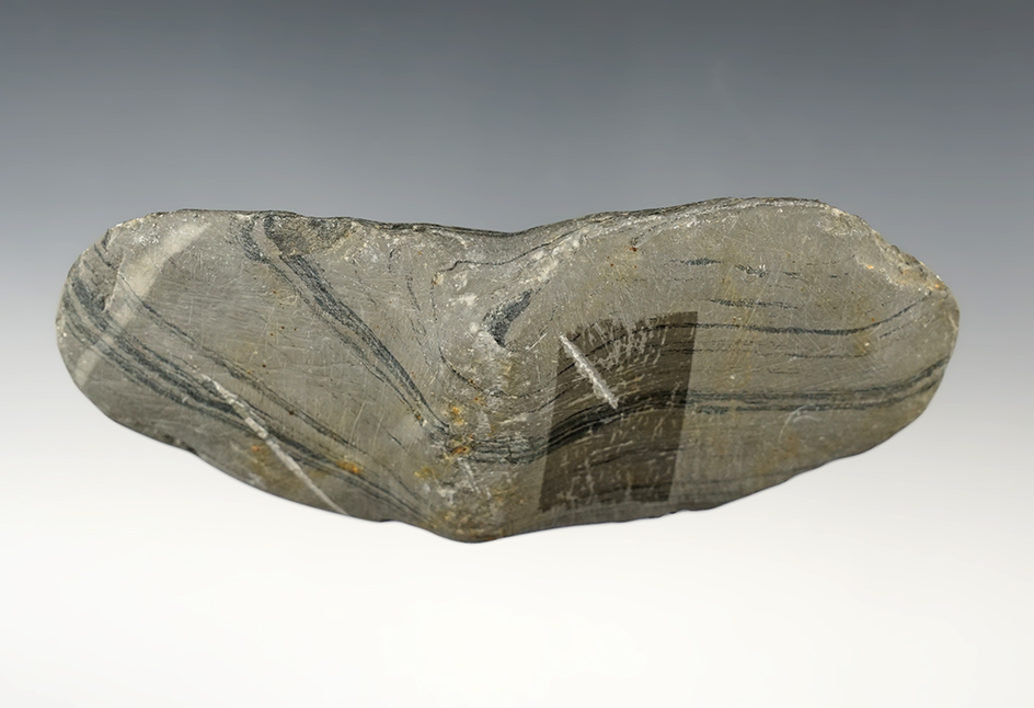 5" wide Wing Bannerstone that is undrilled. Found close to Indian Lake, Logan Co., Ohio. 