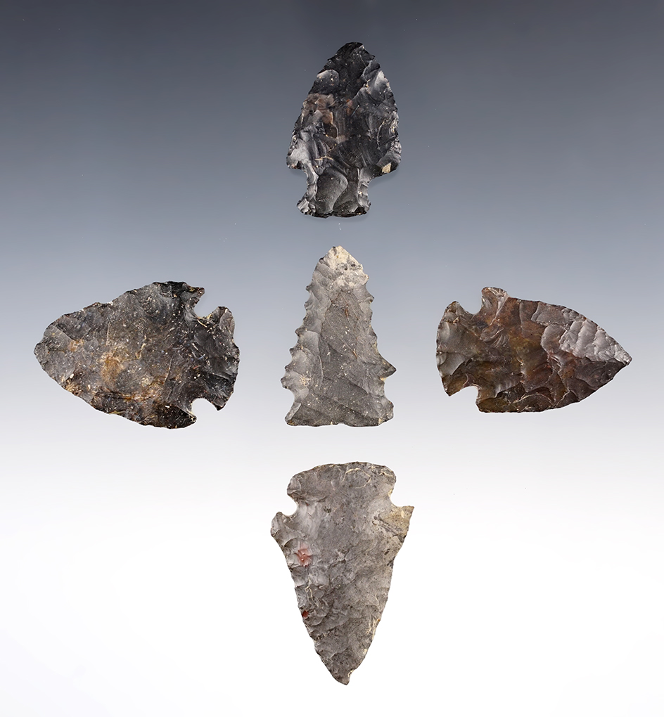 Set of 5 nice assorted points found by Jack Turner in Richland Co., Ohio. The largest is 1 5/8".