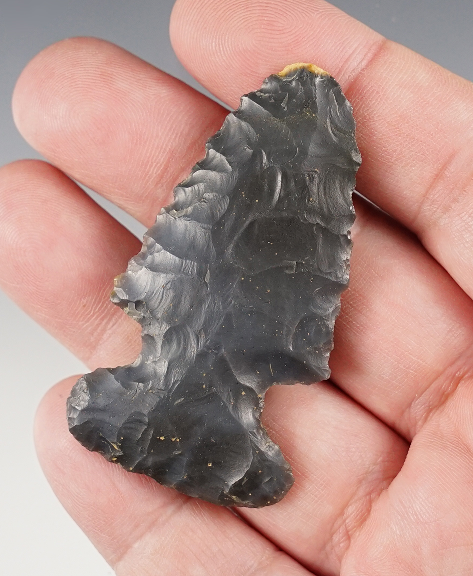 2 5/16" Archaic Sidenotch found in Adams Co., Ohio. 