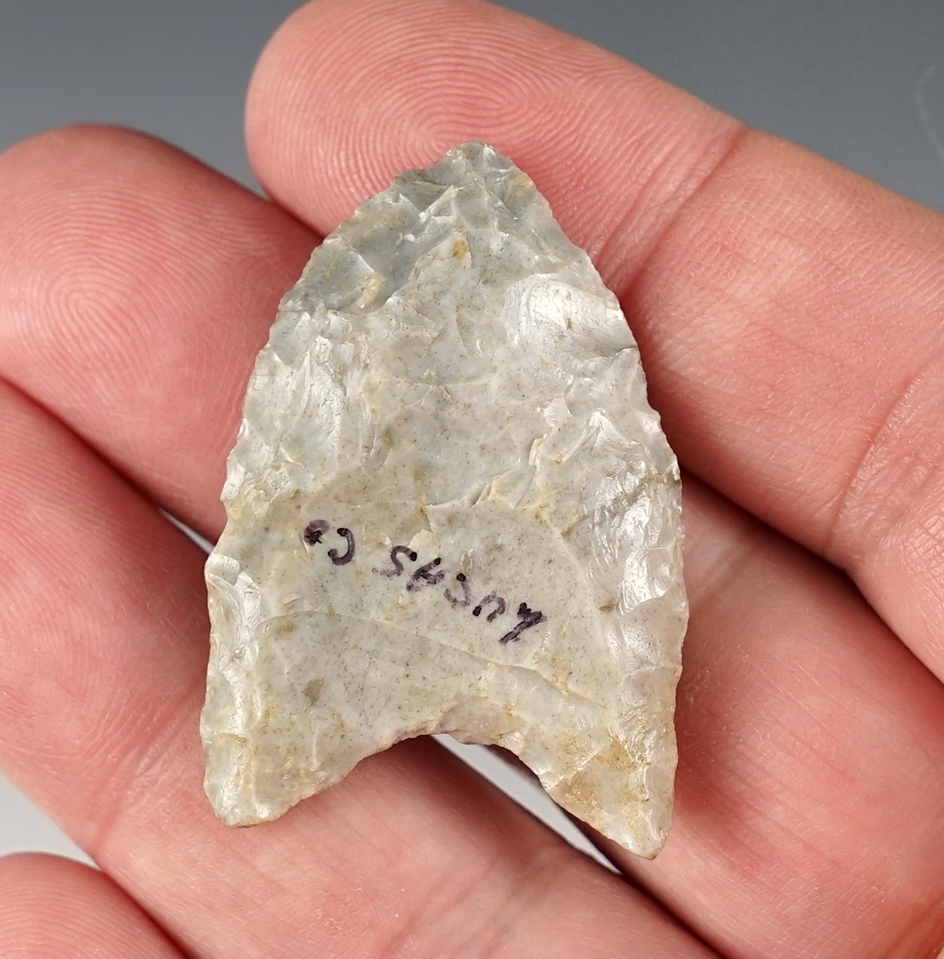 1 11/16" Fluted Paleo Clovis found in Lucas Co., Ohio. Made from high-grade flint.