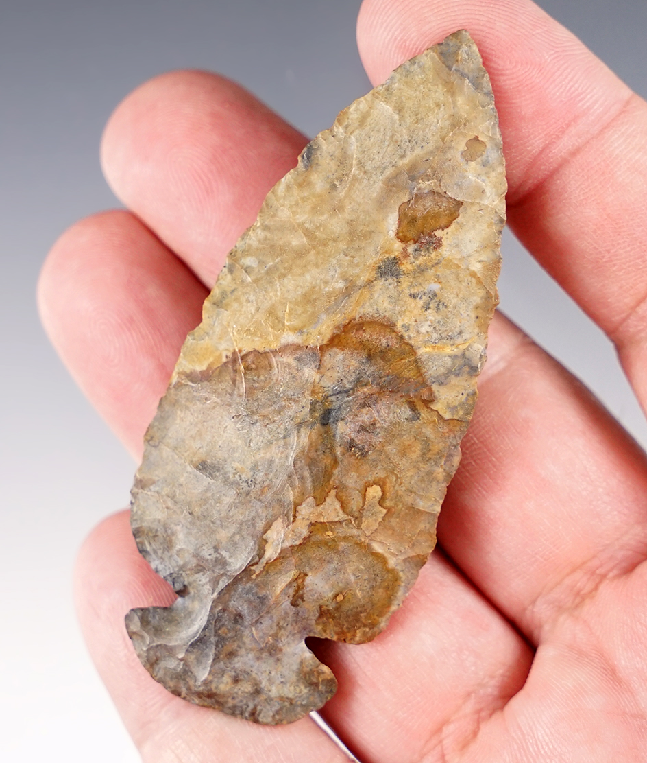 3" Classic Archaic Dovetail made of beautiful multi-colored blue, tan, and red Coshocton Flint.