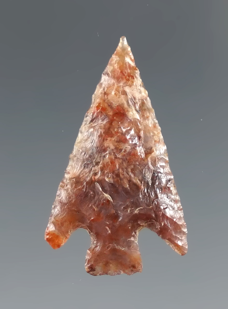 1" Columbia Plateau made from Mottled Agate, found in Klickitat Co., Washington. Ex. Mitchell. COA's