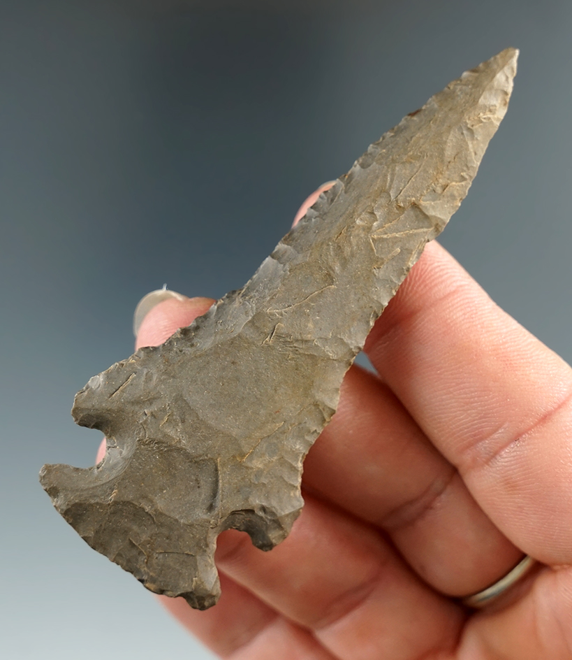 3 3/16" steeply beveled Dovetail found in Tennessee.  Ex. George L. Brooks Jr. collection.