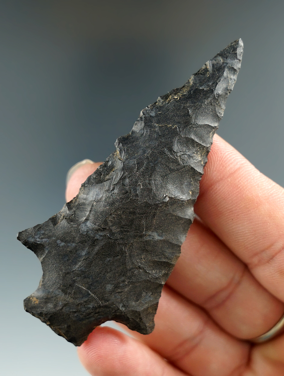 3" Pickwick found in Illinois. Ex. Frank Cross Collection. Comes with a Dickey COA.