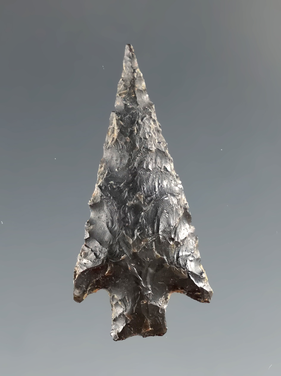 1 3/16" Columbia Plateau made from black Chert, found in Klickitat Co., Washington. Stermer COA.