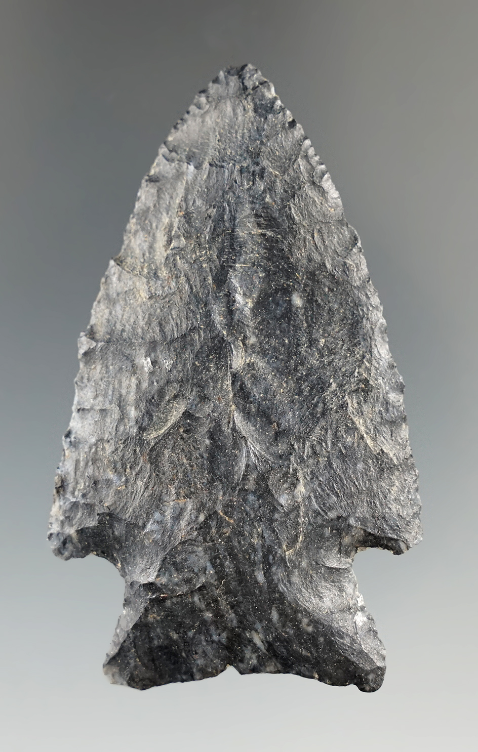 2 1/2" Archaic Cornernotch made from Coshocton Flint, found in Ashland, Kentucky. Bennett COA.