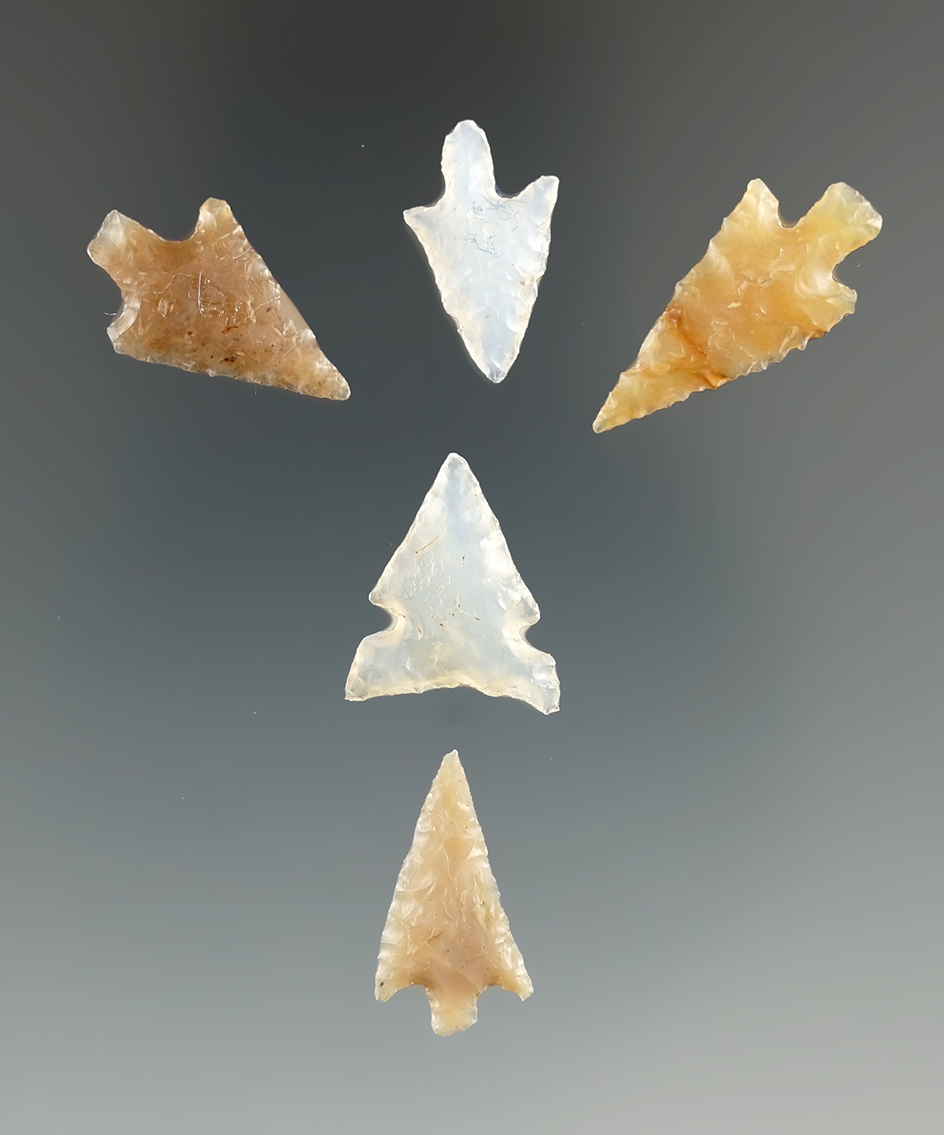 Set of five nice Columbia River Gem points found in Washington. Largest is 1". Ex. Charles Mitchell.