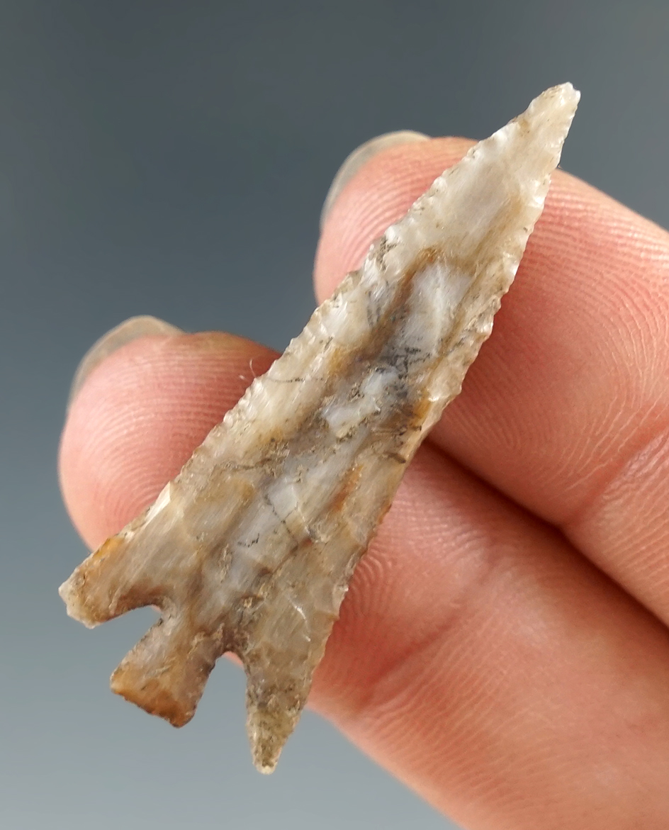 Beautiful material on this 1 9/16" Petrified Wood Columbia Plateau - Benton Co., Washington. COA.