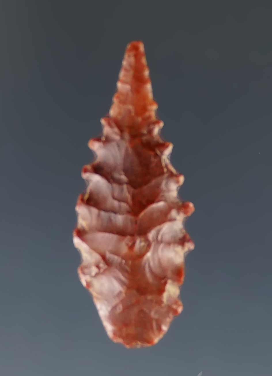 Nice flaking and serrations on this 1 1/8" red Jasper Leaf Point found near the Columbia River.