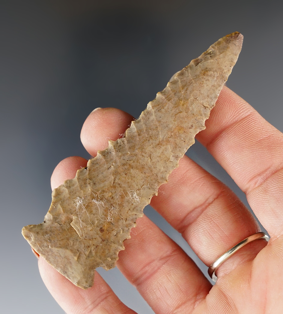 Nicely serrated 3 1/4" Pinetree found in Kentucky.