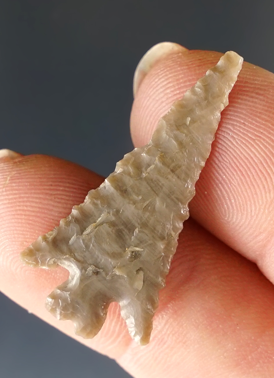 Excellent flaking on this well-crafted 1 3/16" Split Stem found near the Columbia River.