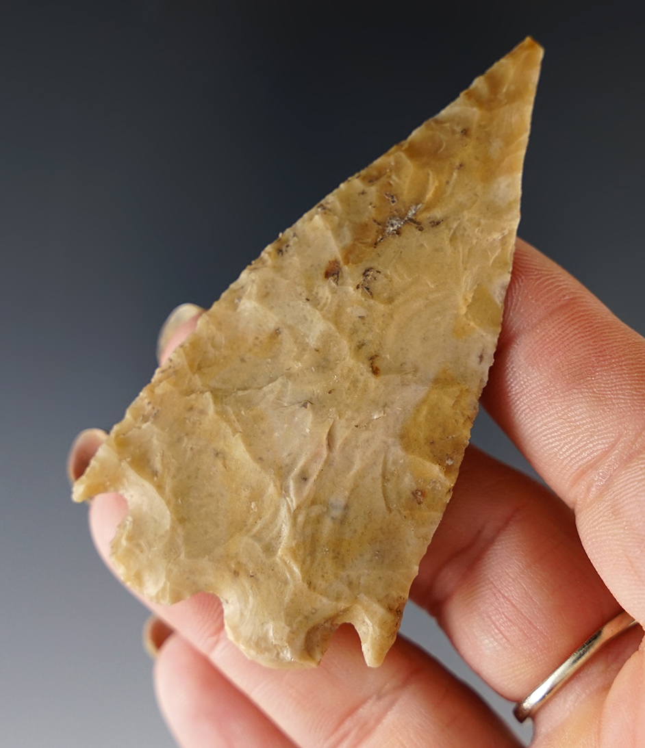 Thin 2 15/16" Montell found in Central Texas. Comes with a Rogers COA. Ex. Mark Van Horne.