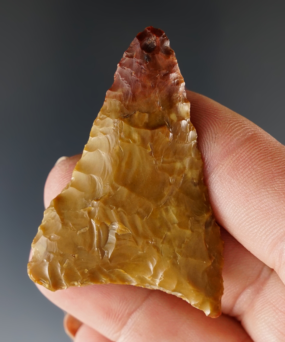 1 15/16" Columbia Mule Ear made from two-tone red and yellow Jasper found in Washington.