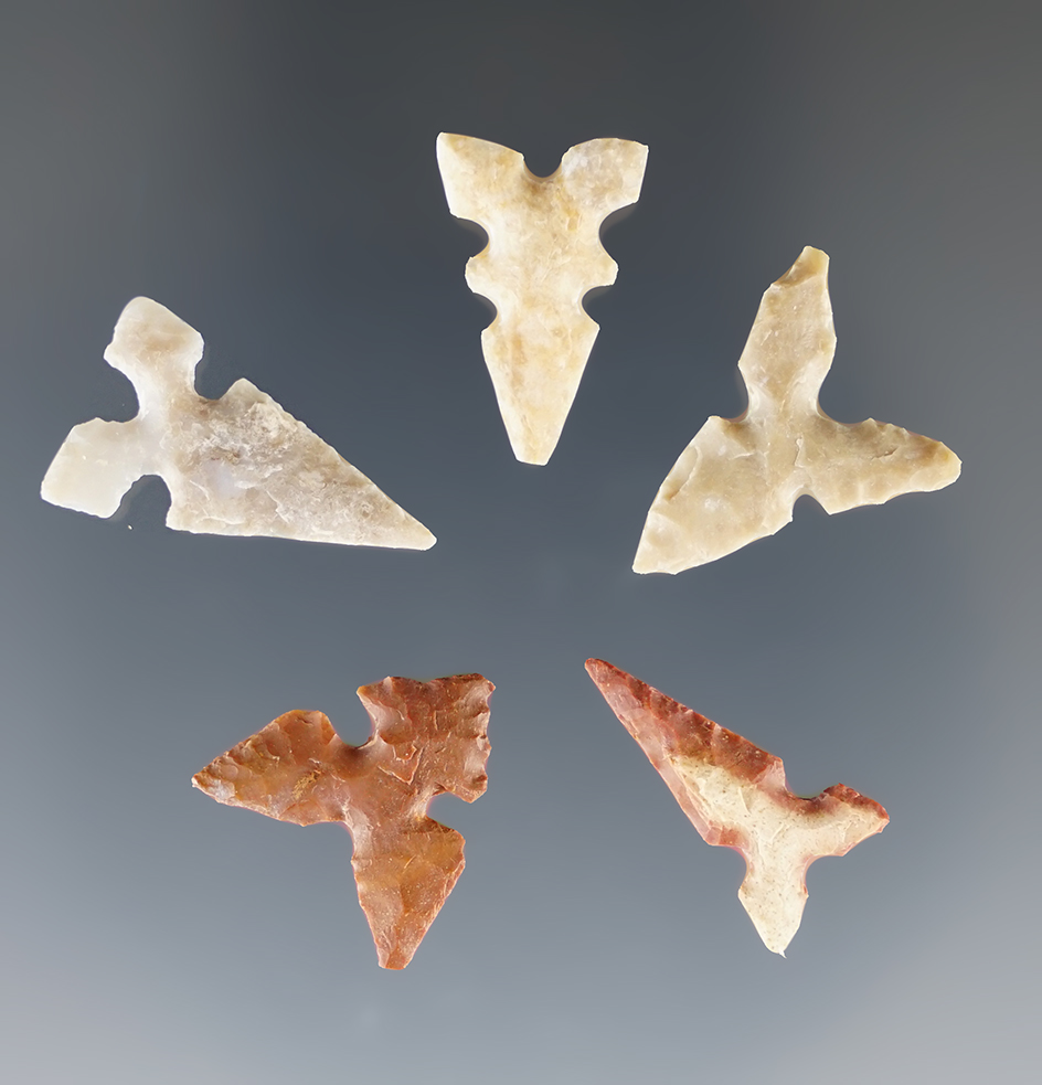 Set of five nice Toyah points found in Texas, largest is 7/8".