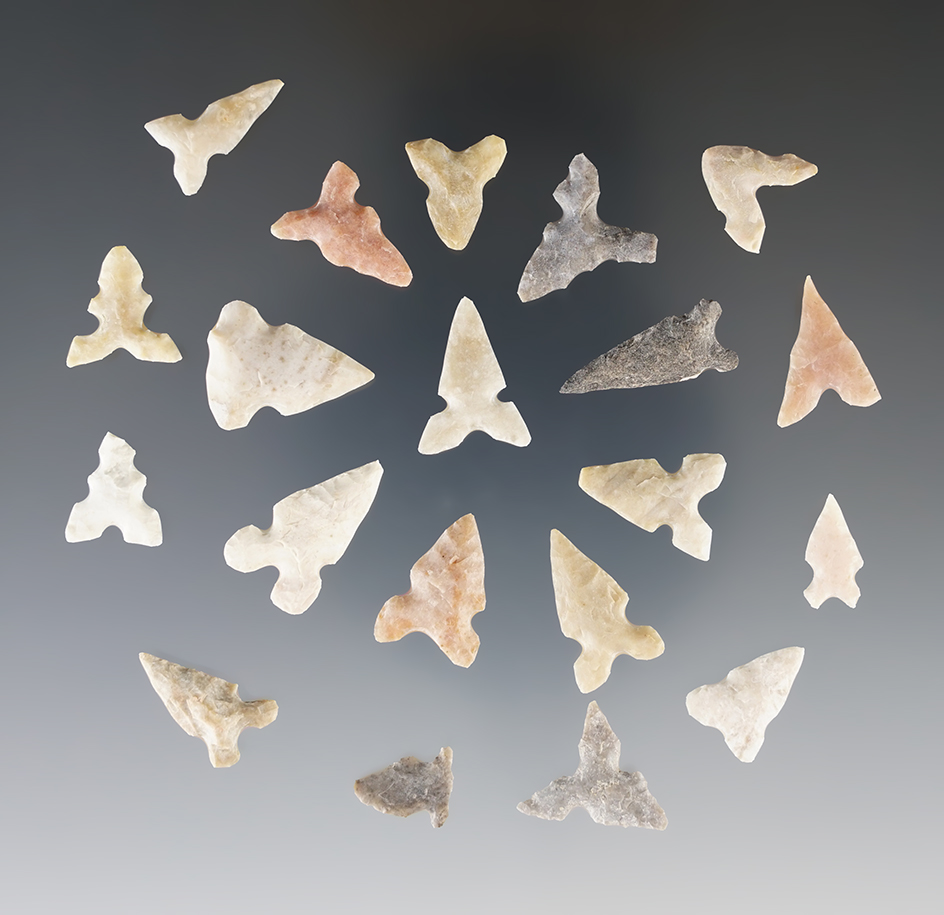 Group of 20 assorted bird points found in Texas, largest is 3/4".