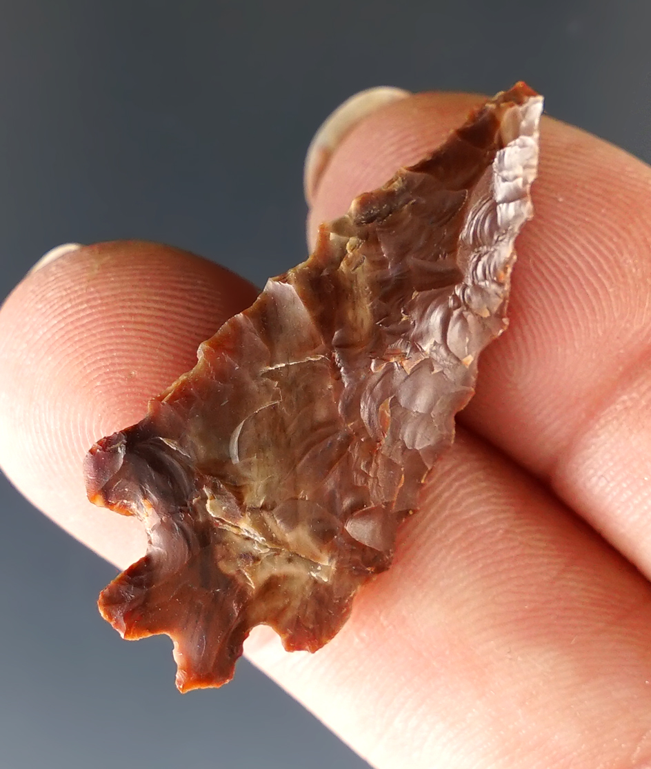 1 7/16" Split Stem Gem Point made from attractive Jasper found near the Columbia River.